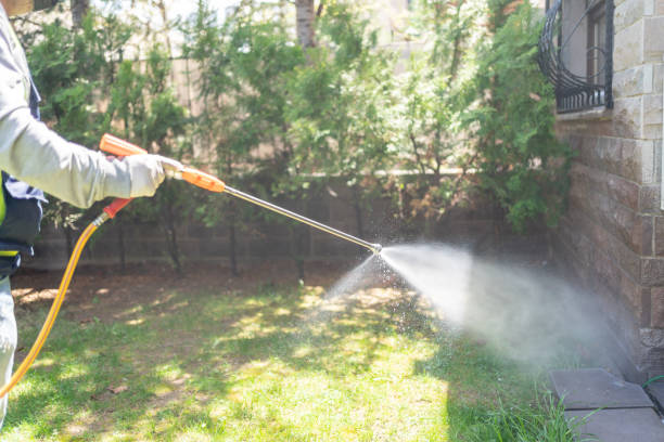 Best Affordable Pest Control Services  in Mccullom Lake, IL