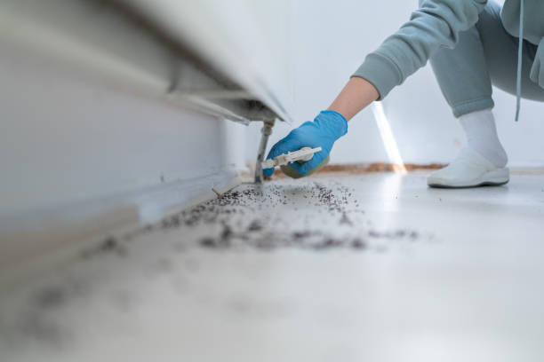 Trusted Mccullom Lake, IL Pest Control Experts